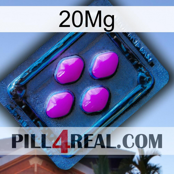 20Mg 04.jpg